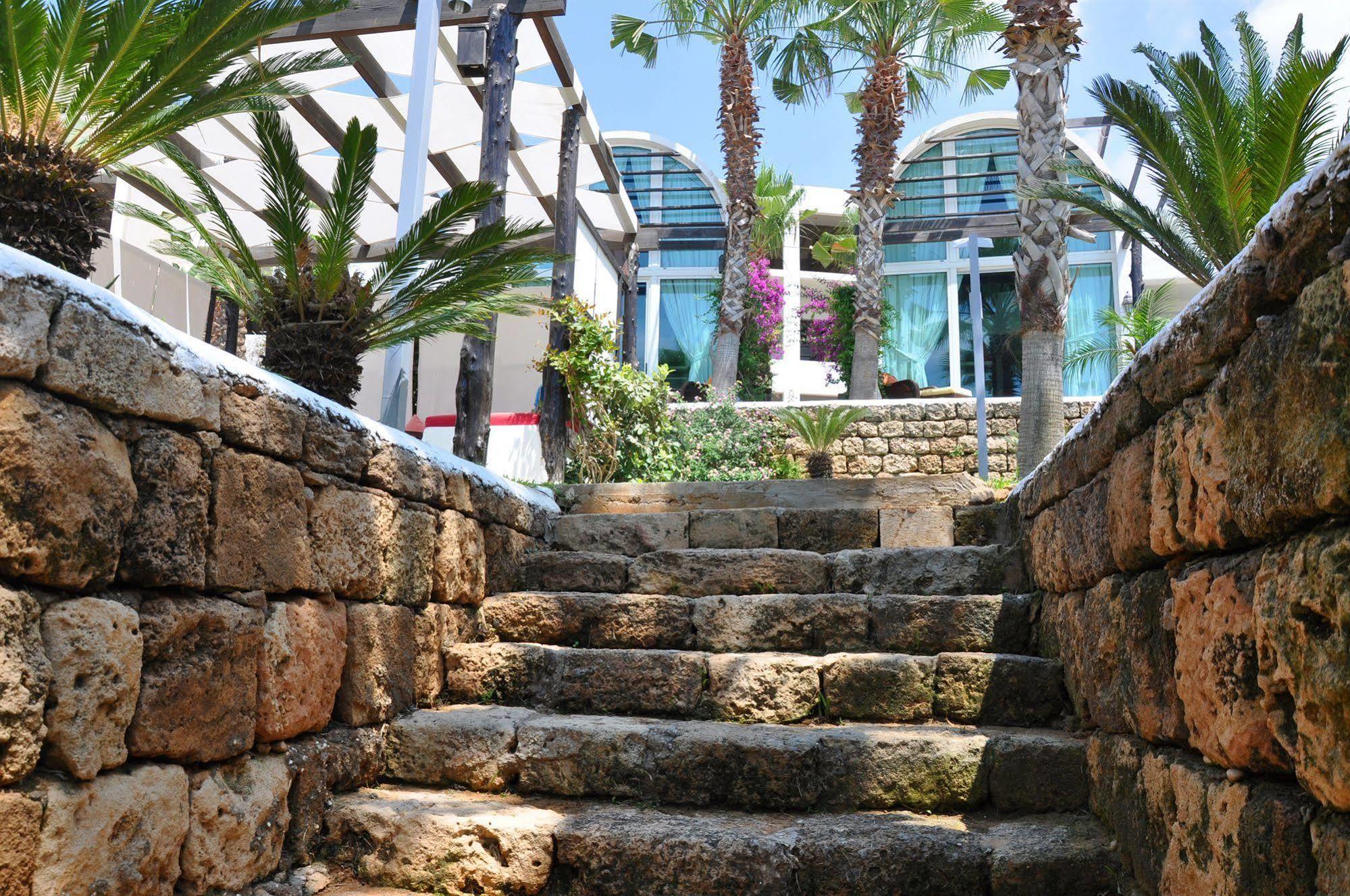 Pangea Beach Resort Джийех Экстерьер фото