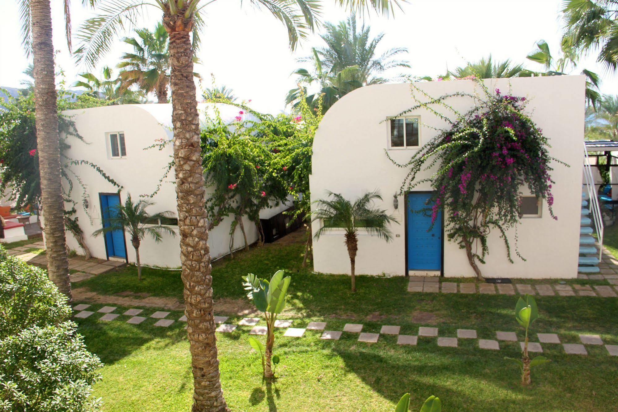 Pangea Beach Resort Джийех Экстерьер фото